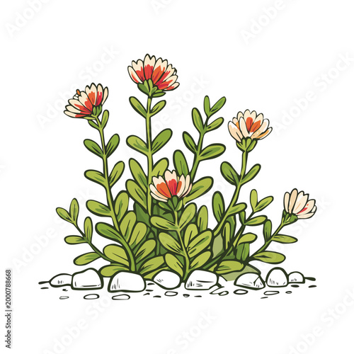 Hand drawn vector illustration of small garden flowers growing among rocks and soil in botanical sketch style with gardening botanical decoration landscape succulent aesthetic colorful seedling