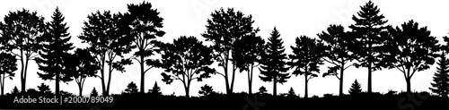 Fir trees silhouettes set. Coniferous spruce horizontal background patterns, black evergreen woods vector illustration. Beautiful hand drawn panorama with treetops forest. Black pine woods