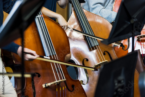 Cuadro en lienzo Close-up of musicians playing double bass instruments with bows during an orches