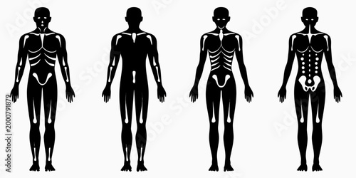 Four stylized human figures depicted in a black and white anatomical style