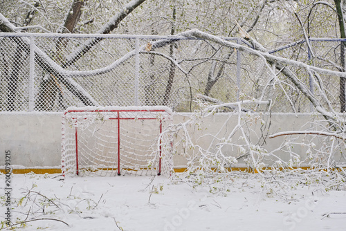 A broken branch from a large tree broken at a sports ground. Snowfall in a spring. Snowfall, storm in the green spring  in Moscow, Russia, 27 April. 