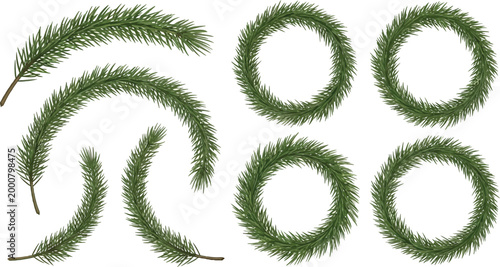 Green pine branches and circular wreaths on white background evergreen