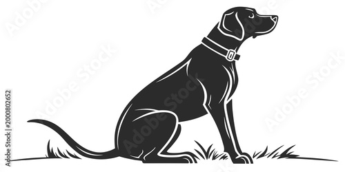Bild auf Leinwand Black silhouette of a dog wearing a collar sitting in grass with a focused expre