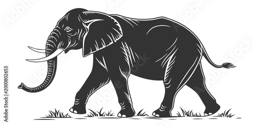 Bild auf Leinwand Black silhouette of an african elephant walking through tall grass profile view