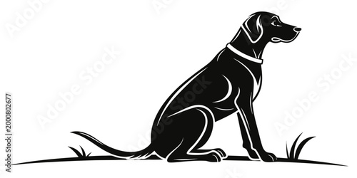 Fotografie Stylized black silhouette of a labrador retriever dog sitting alertly in a grass