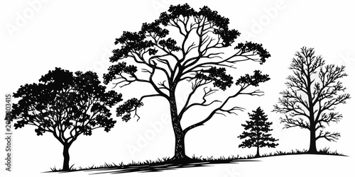 Silhouette of various trees on a grassy slope with black and white silhouette landscape deciduous evergreen outdoors environment seasonal illustration monochrome component