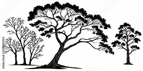 Silhouettes of trees with varied foliage on a slight incline black and white silhouette landscape deciduous evergreen outdoors environment seasonal illustration monochrome component