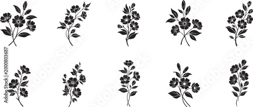Stylized  flowering branch silhouette collection, smooth curved leaves, open flowers with simple petal shapes, different shapes,  vector flat illustration.