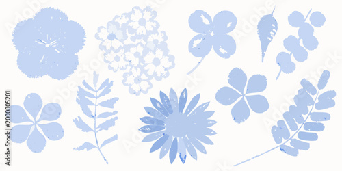 diverse collection of blue botanical specimens on light background high quality professional detailed modern elegant