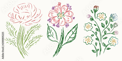 three floral clusters with delicate petals and green leaves on white background high quality professional