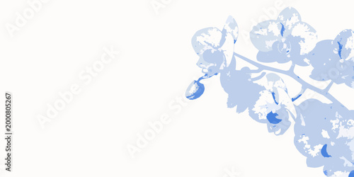 orchid flower illustration in minimalist blue and white style high quality professional detailed modern elegant