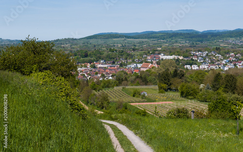 Landschaft bei der Stadt Ettenheim im Ortenaukreis, Baden-Württ.