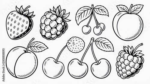 Historical botanical illustrations of various fruits and their seeds in detailed drawings