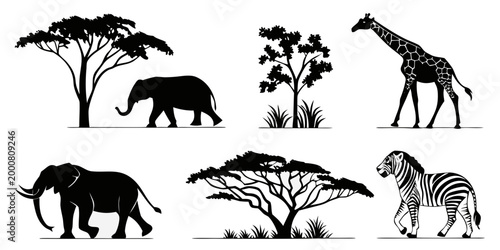 African safari scene silhouettes with elephant giraffe zebra and acacia trees on white background silhouette elephant wildlife landscape environmental herbivore isolated illustration national