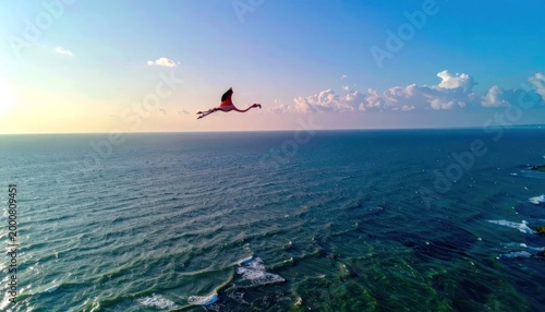 Flamingo Soars Gracefully Over Vast Ocean Under Sunset Sky.