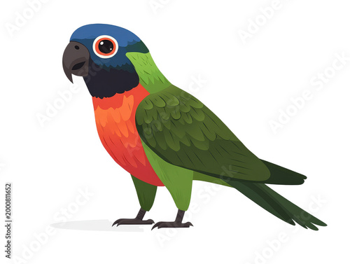 Colorful parrot standing on white background, png