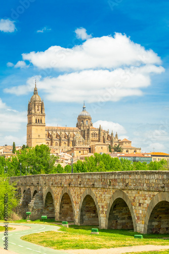 Cathedral of Salamanca, Green Trees and Roman Bridge on Sunny Day. Blue Sky with Clouds. Old Town, Spain
