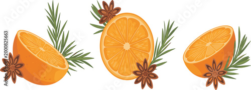 Professional vector illustration of fresh orange slices garnished with star anise pods and fragrant rosemary sprigs.