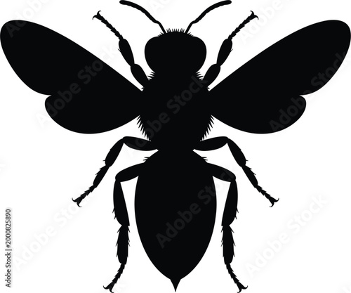 Professional vector silhouette of a honey bee or bumblebee with wings spread and detailed legs.