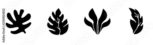 vector silhouette of a wheat