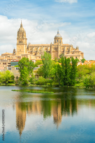Cathedral of Salamanca, Green Trees and Reflection in Tormes River on Sunny Day. Blue Sky with Clouds. Old Town, Spain