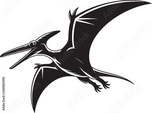 Detailed Black and White Flying Pterosaur and Pterodactyl Vector Silhouettes Set
