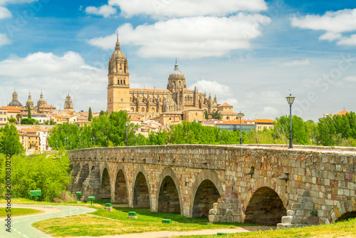 Cathedral of Salamanca, Green Trees and Roman Bridge on Sunny Day. Blue Sky with Clouds. Old Town, Spain