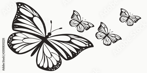 Bild auf Leinwand Group of butterflies flying together in a decorative vector illustration with wi