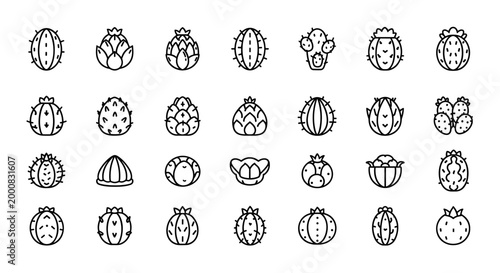 Collection of various cactus and succulent icons, simple line art, isolated on white background, botanical plant illustrations