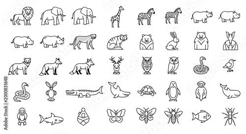 Collection of Various Outline Animal Icons, Including Mammals, Birds, Reptiles, and Insects on White Background