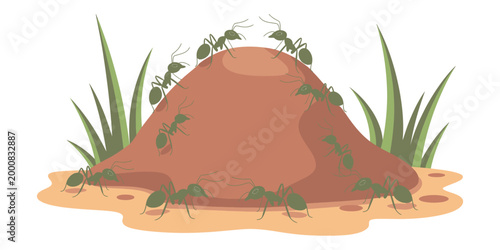 Ant hill ecosystem vector illustration, soil mound with active ants and grass, insect colony environment concept, ecology learning theme, natural habitat design, detailed clean vector, balanced compos