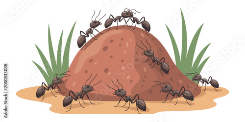 Ant hill ecosystem vector illustration, soil mound with active ants and grass, insect colony environment concept, ecology learning theme, natural habitat design, detailed clean vector, balanced compos