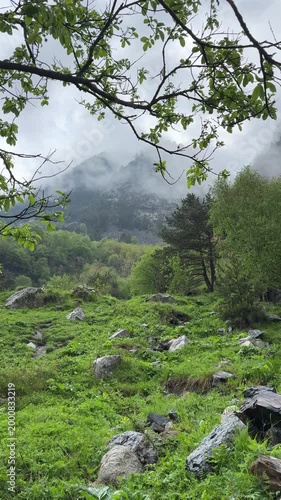 A view of a mountainside in fog and clouds with trees, rocks during rainy summer weather, raindrops slowly falling. Bad weather