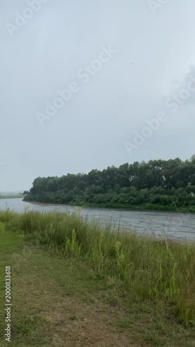 Rain falls on a high riverbank in cloudy weather. A river with forested banks on a cloudy summer day