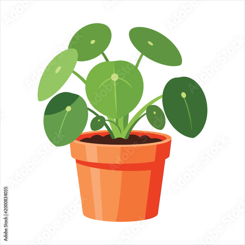 Pilea peperomioides houseplant in orange terracotta pot flat vector