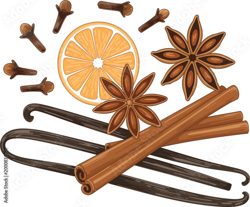 Professional vector illustration of festive winter spices featuring cinnamon sticks, star anise, vanilla pods, cloves, and a dried orange slice.