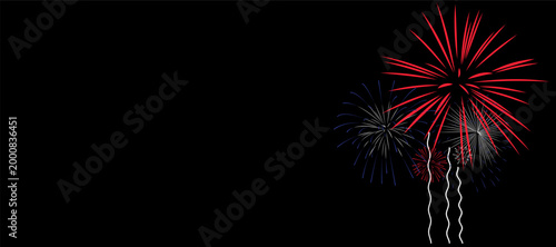 Red and Blue Fireworks Vector on Black background