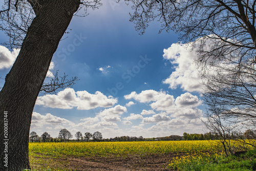 Ammerland Wiefelstede Sommer