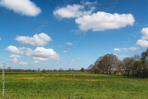 Ammerland Wiefelstede Sommer