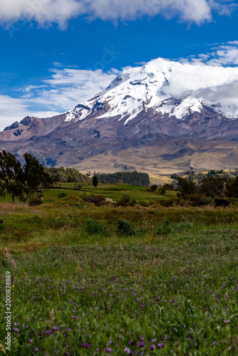 Paisaje andino con el volcán Chimborazo 