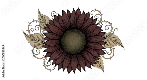 elegant hand-drawn sunflower with detailed petals and leaves isolated on transparent background