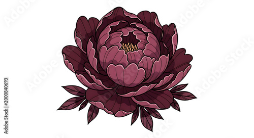 vibrant pink lotus flower with layered petals isolated on transparent background