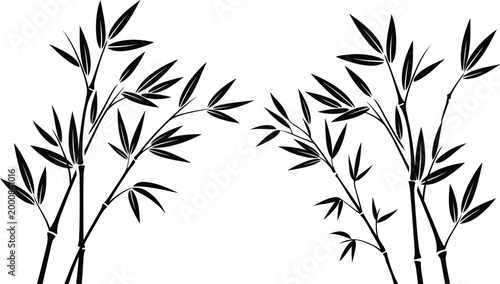 Bamboo tropical clip art elegant black and white botanical illustration