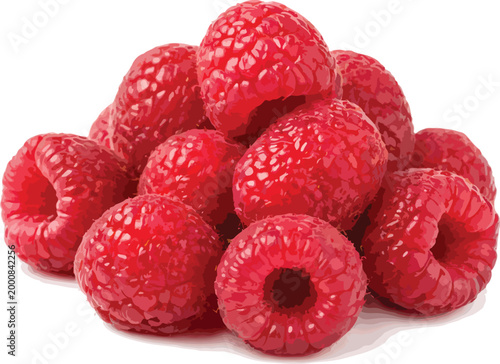 Pile of fresh, ripe raspberries raspberry berry