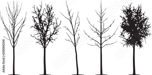 Setoffoursilhouettetreeswithdifferentshapes