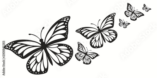 Swarm of decorative butterflies in black and white with butterfly silhouette illustration wildlife isolated decorative creative delicate fluttering movement creature ornament stylized