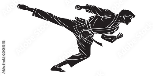 Martial artist performing a high side kick in black silhouette with silhouette training taekwondo fighting movement exercise discipline strength isolated competitive wellness lifestyle