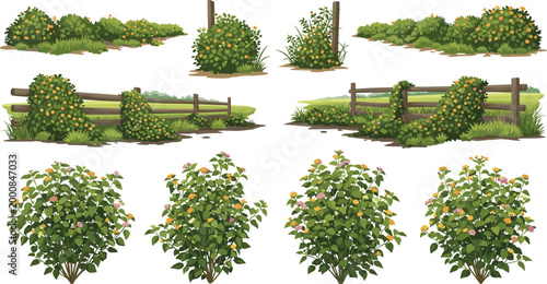Lantana Garden Bush Vector Set with Wooden Fence Rural Landscape and Flowering Shrub Arrangements