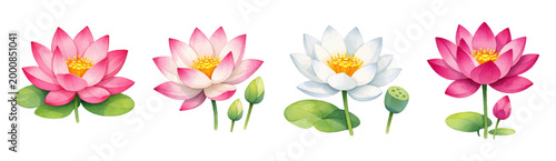 Φωτογραφία Elegant watercolor lotus flower set with pink and white blooms, buds and leaves