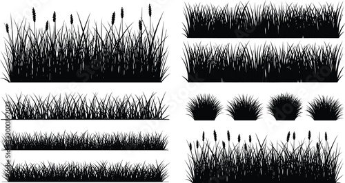 Fotografi Black grass silhouette collection with wild plants, meadow borders, and decorati